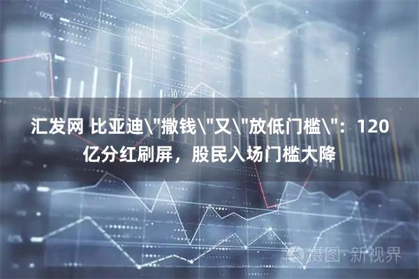 汇发网 比亚迪＂撒钱＂又＂放低门槛＂：120亿分红刷屏，股民入场门槛大降
