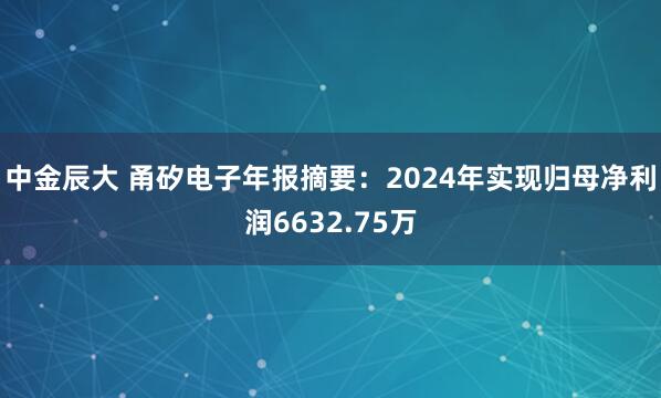 中金辰大 甬矽电子年报摘要：2024年实现归母净利润6632.75万