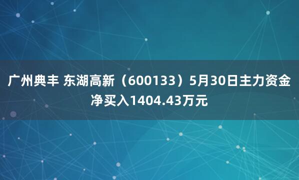 广州典丰 东湖高新（600133）5月30日主力资金净买入1404.43万元