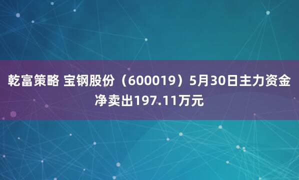 乾富策略 宝钢股份（600019）5月30日主力资金净卖出197.11万元