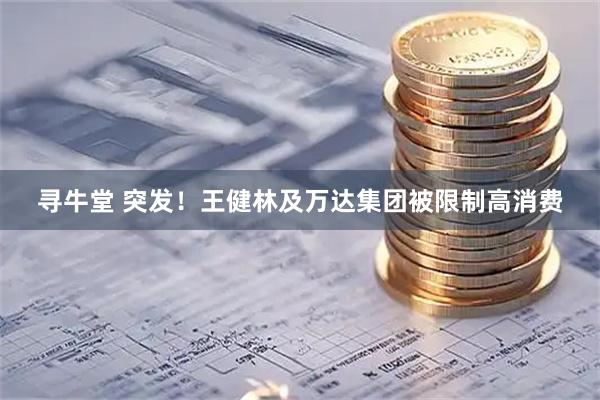 寻牛堂 突发！王健林及万达集团被限制高消费