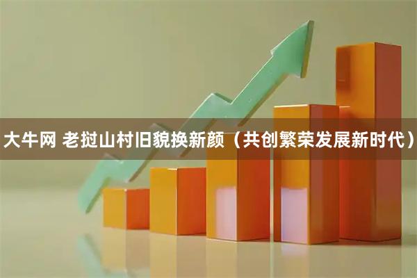 大牛网 老挝山村旧貌换新颜（共创繁荣发展新时代）