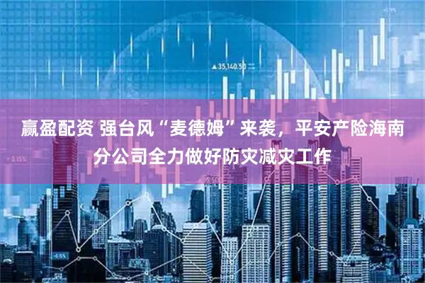 赢盈配资 强台风“麦德姆”来袭，平安产险海南分公司全力做好防灾减灾工作