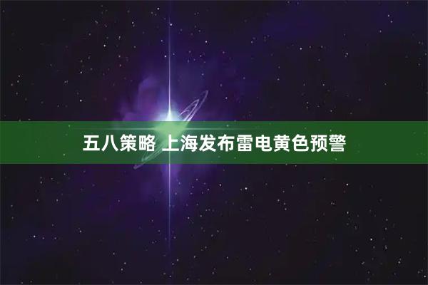 五八策略 上海发布雷电黄色预警