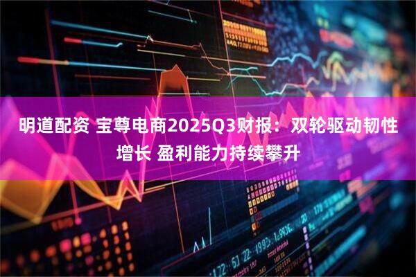 明道配资 宝尊电商2025Q3财报：双轮驱动韧性增长 盈利能力持续攀升