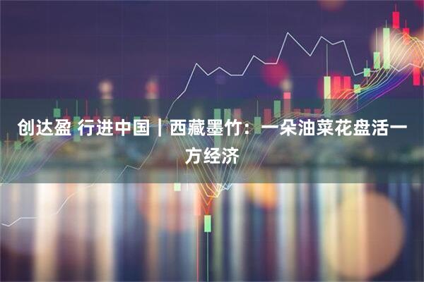 创达盈 行进中国｜西藏墨竹：一朵油菜花盘活一方经济